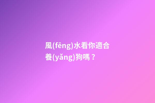 風(fēng)水看你適合養(yǎng)狗嗎？